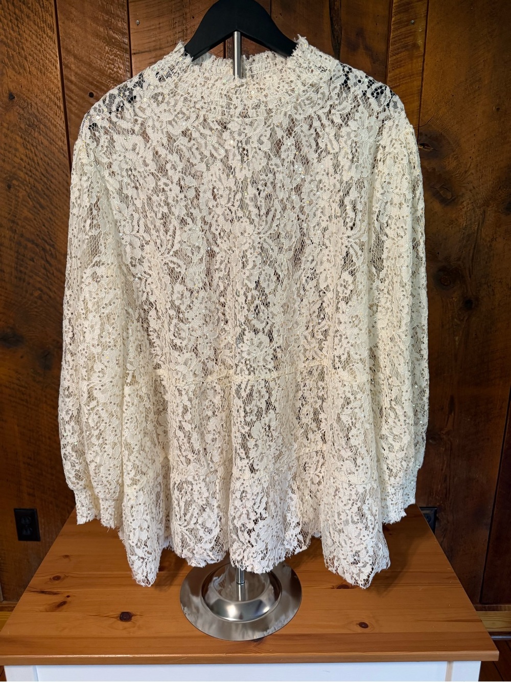 Angelcore Sheer Cream Floral Lace Sequin Blouse Cottagecore Romantic Plus 3X